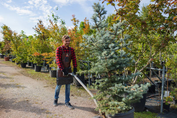 Best Commercial Tree Services  in Martindale, TX